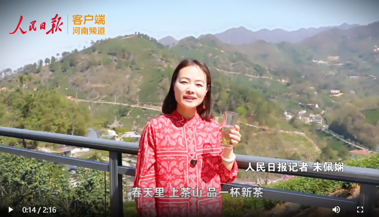一杯春茶的含“金”量是多少？